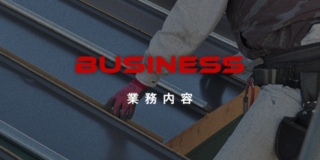 sp_bnr_business