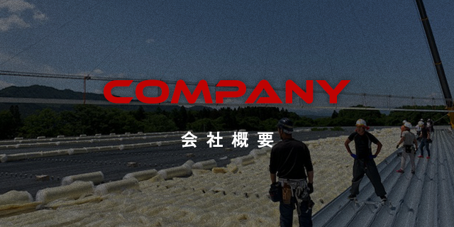 sp_bnr_company